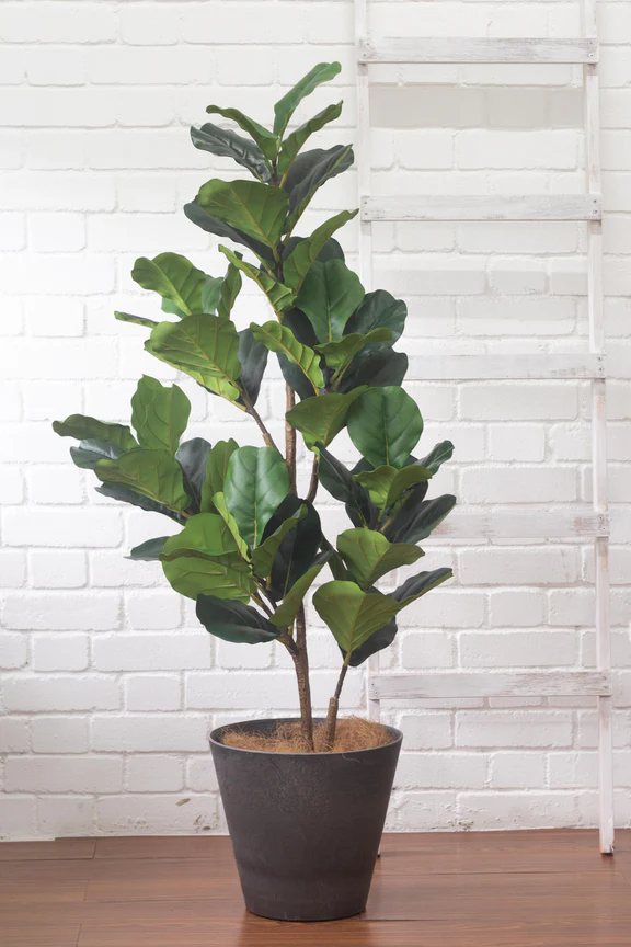 Faux Fiddle Leaf Fig - Image 2