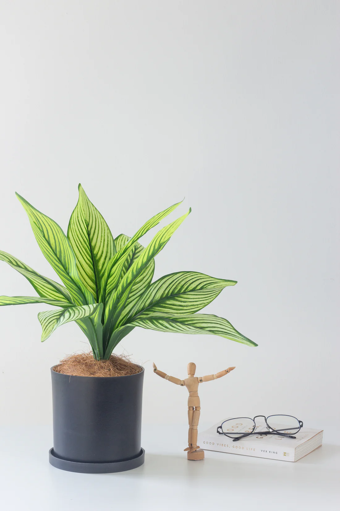 Faux Calathea White Line - Image 2