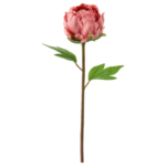 smycka-artificial-flower-peony-dark-pink__0611404_pe685422_s5-ddf041360fad8a-1.png